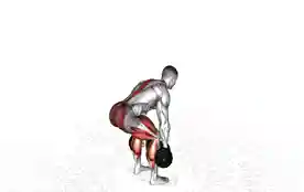 哑铃硬拉（Dumbbell Deadlift）正确姿势