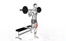 杠铃保加利亚深蹲（Barbell Bulgarian Squat）正确姿势