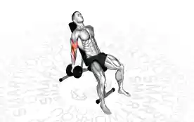 哑铃上斜交替仰握弯举(Dumbbell Incline Alternate Supinated Curl)正确姿势 哑铃上斜交替仰握弯举