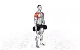 侧平举转前平举（Lateral to Front Raise）正确姿势
