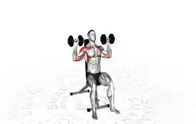 坐姿哑铃推举（Seated Dumbbell Shoulder Press）正确姿势