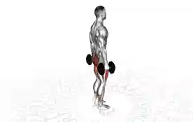 哑铃后弓步（Dumbbell Rear Lunge）正确姿势