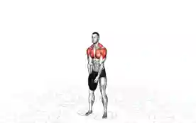 哑铃前平举(Dumbbell Lu Raises)正确姿势 哑铃前平举