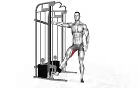 钢索髋关节内收(Cable Hip Adduction)正确姿势 钢索髋关节内收