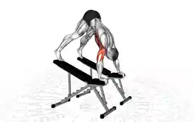 双凳间俯卧撑（Pike Push-Up Between Benches）正确姿势