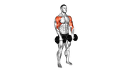 哑铃直立划船 - 起始位置