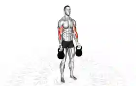 壶铃肱二头肌弯举(Kettlebell Biceps Curl)正确姿势 壶铃肱二头肌弯举