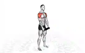杠铃片前平举(Plate Front Raise)正确姿势 杠铃片前平举