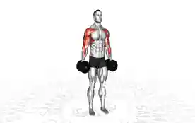 哑铃波利昆侧平举(Dumbbell Poliquin Lateral Raise)正确姿势 哑铃波利昆侧平举