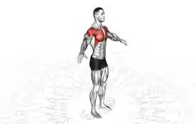 手臂环绕（Arm Circles）正确姿势