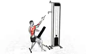 单臂高位划船拉索（One-Arm High Row Cable）正确姿势