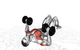 地面哑铃卧推（Floor Dumbbell Press）正确姿势