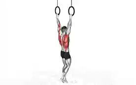 吊环引体向上（Rings Pull-Up）正确姿势