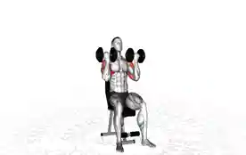 坐姿阿诺德哑铃推举(Seated Arnold Dumbbell Press)正确姿势 坐姿阿诺德哑铃推举