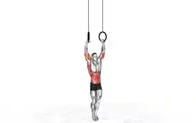 吊环肌肉向上动作（Ring Muscle Up）正确姿势