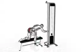 绳索臀部后踢(Glute Cable Kickback)正确姿势 绳索臀部后踢