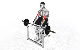 杠铃牧师凳弯举(Barbell Preacher Curl)正确姿势 杠铃牧师凳弯举