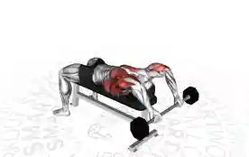 杠铃上拉(Barbell Pullover)正确姿势 杠铃上拉