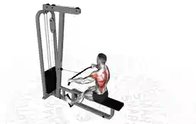 坐姿绳索宽握划船(Seated Cable Wide Grip Row)正确姿势 坐姿绳索宽握划船