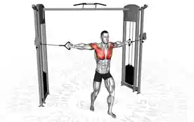 绳索中位胸部飞鸟（Cable Middle Chest Fly）正确姿势