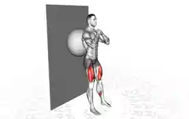 健身球靠墙深蹲(Stabillity Ball Wall Squat)正确姿势 健身球靠墙深蹲