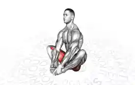 蝴蝶前倾伸展（Butterfly Lean Forward Stretch）正确姿势