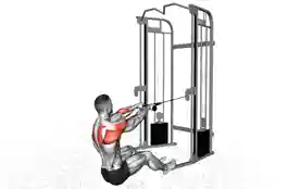 坐姿面拉（Seated Face Pull）正确姿势