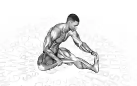 坐姿单腿腘绳肌拉伸(Seated Single Leg Hamstring Stretch)正确姿势 坐姿单腿腘绳肌拉伸