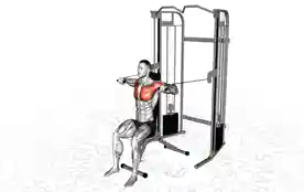 坐姿绳索胸推(Seated Cable Chest Press)正确姿势 坐姿绳索胸推
