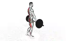单腿硬拉(Single-Leg Deadlift)正确姿势 单腿硬拉