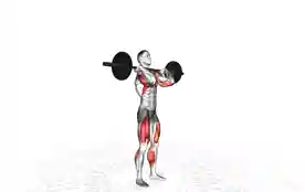 杠铃推举(Barbell Push Press)正确姿势 杠铃推举