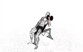 单臂哑铃上斜卧推(One-Arm Dumbbell Incline Bench Press)正确姿势 单臂哑铃上斜卧推