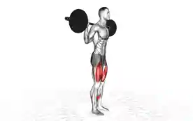 杠铃反向弓步蹲(Barbell Reverse Lunges)正确姿势 杠铃反向弓步蹲