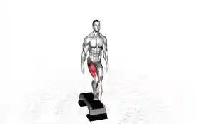 波利昆台阶上步(Poliquin Step-Up)正确姿势 波利昆台阶上步
