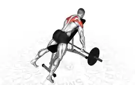 杠铃上斜宽握划船(Barbell Incline Wide Grip Row)正确姿势 杠铃上斜宽握划船