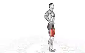 后弓步