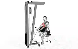 绳索牧师凳弯举（Cable Preacher Curl）正确姿势