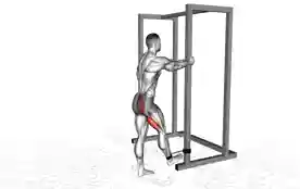 弹力带站立平衡臀肌后踢(Band Standing Balance Glute Kickback)正确姿势 弹力带站立平衡臀肌后踢