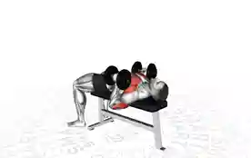 锤式握法哑铃卧推