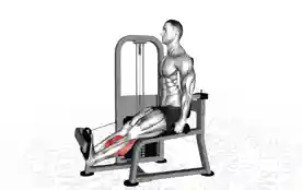 旋转小腿提踵(Rotary Calf Raise)正确姿势 旋转小腿提踵