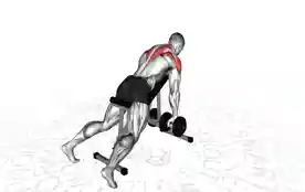 上斜凳哑铃宽划船(Incline Bench Dumbbell Wide Row)正确姿势 上斜凳哑铃宽划船