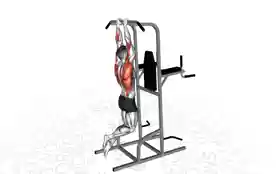 窄握引体向上(Close Grip Pull Up)正确姿势 窄握引体向上