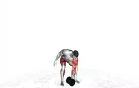 哑铃抓举