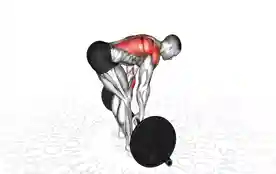 杠铃划船(Barbell Bent Over Row)正确姿势 杠铃划船