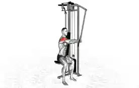 单臂后束三角肌飞鸟(One-Arm Rear Delt Fly)正确姿势 单臂后束三角肌飞鸟