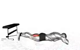 弹力带仰卧腿弯举
