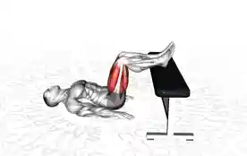 仰卧臀桥在长凳上(Glute Bridge on Bench)正确姿势 仰卧臀桥在长凳上