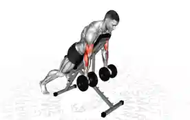 哑铃蜘蛛弯举(Dumbbell Spider Curl)正确姿势 哑铃蜘蛛弯举
