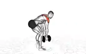 交替俯身哑铃反向飞鸟(Alternate Bent Over Dumbbell Reverse Fly)正确姿势 交替俯身哑铃反向飞鸟
