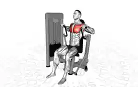 器械卧推(Machine Chest Press)正确姿势 器械卧推